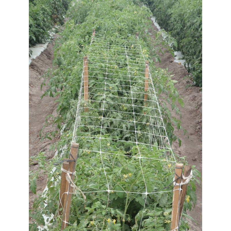 Tenax Hortanova 48 In. x 8 Ft. Polypropylene Trellis Netting