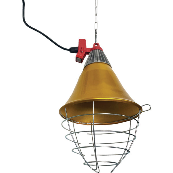 Stromberg's 250W Safety Brooder Lamp