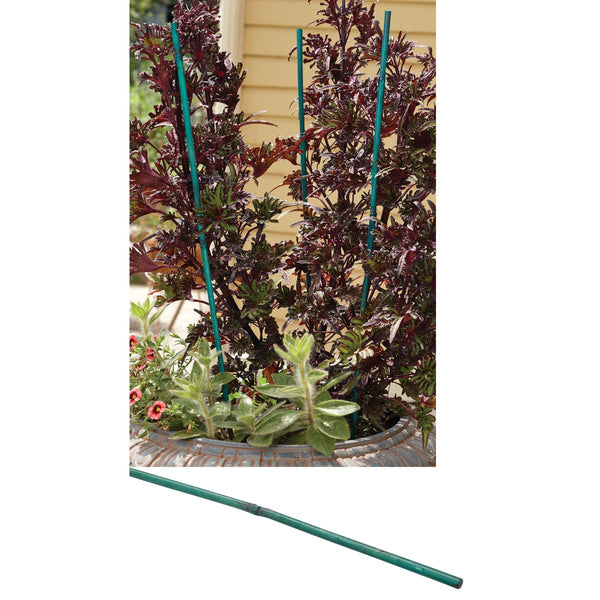 Gardener's Blue Ribbon 4 Ft. Green Bamboo Plant Stake (25-Pack)