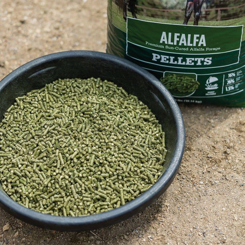 Standlee Premium Western Forage 40 Lb. Premium Alfalfa Pellets