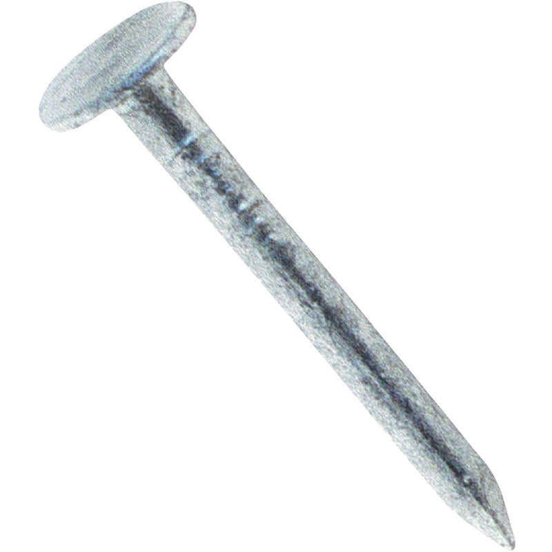 Grip-Rite 1 In. 11 ga Hot Galvanized Roofing Nails (12750 Ct., 50 Lb.)