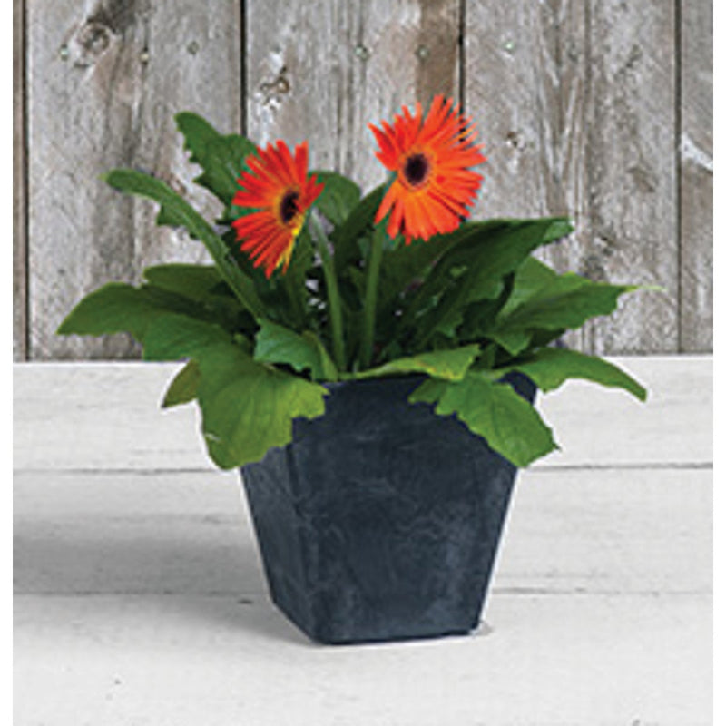 Novelty ArtStone Ella 6 In. W. x 6 In. H. x 6 In. L. Black Resin Planter