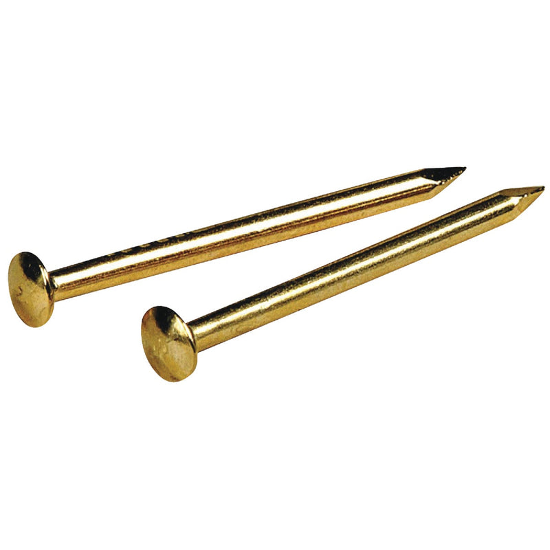 Hillman Anchor Wire 5/8 In. 18 ga 1.5 Oz. Brass Plated Steel Escutcheon Pins