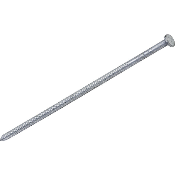 Grip-Rite 20d x 4 In. 7 ga Hot Galvanized Ring Shank Pole Barn Nails (1050 Ct., 30 Lb.)