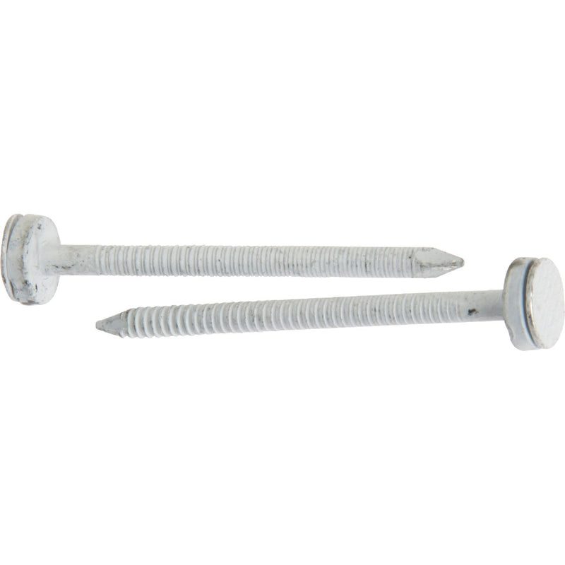 Do it 1-1/2 In. 10 ga Hot Galvanized Roofing Nails (107 Ct., 1 Lb.).