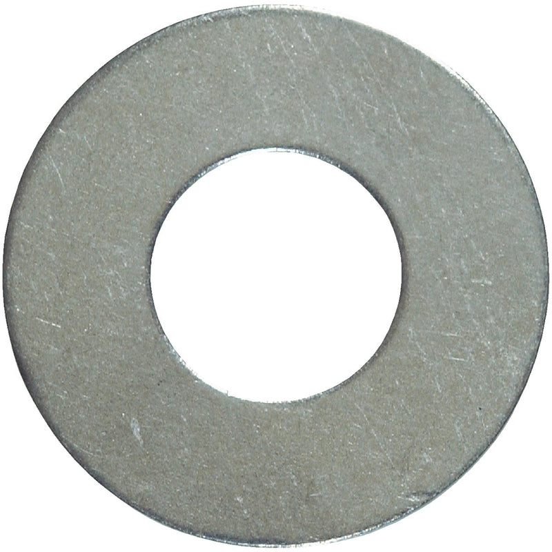 Hillman 1/4 In. Stainless Steel Flat Washer (100 Ct.)