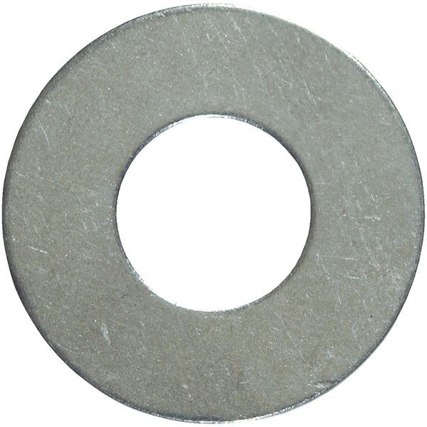 Hillman 5/16 In. Stainless Steel Flat Washer (100 Ct.)