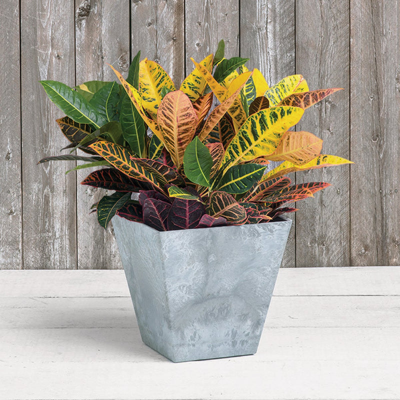 Novelty ArtStone Ella 12 in. W. x 12 in. H. x 12 in. L. x Gray Resin Planter