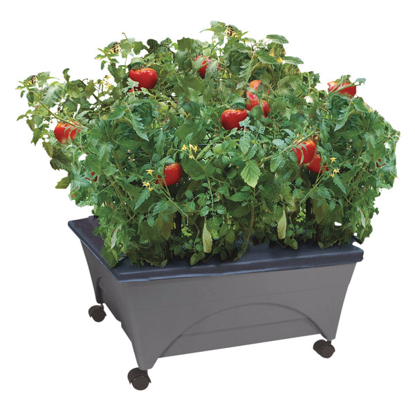 City Pickers 20 In. W. x 11 In. H. x 24 In. L. Slate Polyethylene Portable Patio Garden Kit