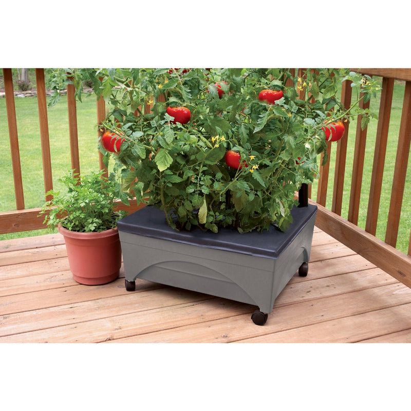 City Pickers 20 In. W. x 11 In. H. x 24 In. L. Slate Polyethylene Portable Patio Garden Kit