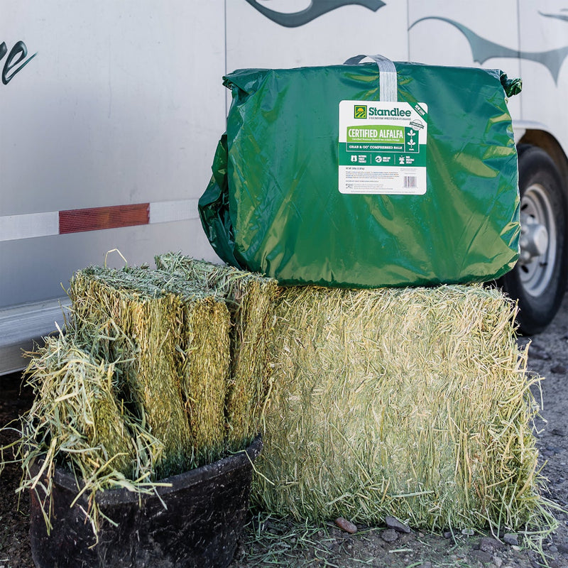 Standlee Premium Western Forage 50 Lb. Certified Alfalfa Grab & Go Compressed Bale