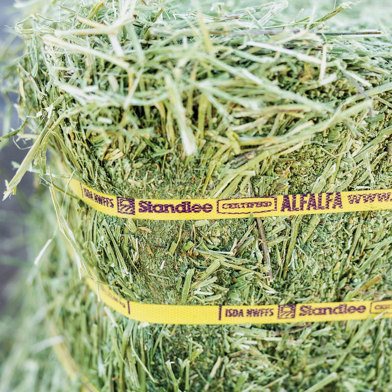 Standlee Premium Western Forage 50 Lb. Certified Alfalfa Grab & Go Compressed Bale