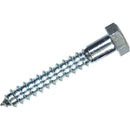Hillman 1/4 In. x 1 In. Zinc Hex Lag Screw (100 Ct.)