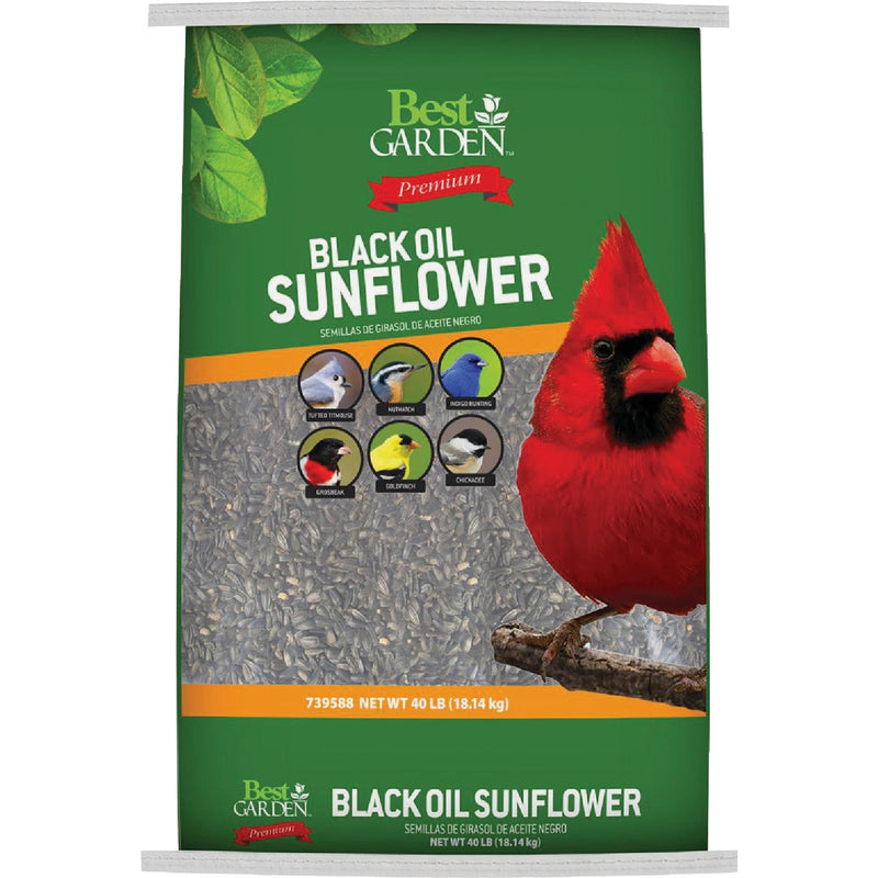Best Garden 40 Lb. Black Oil Sunflower Wild Bird Seed