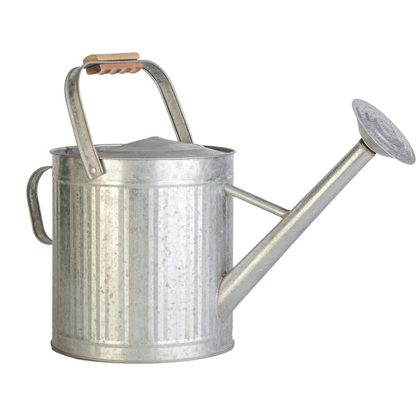 Panacea 2 Gal. Galvanized Steel Watering Can