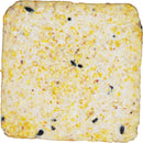 Suet Plus 11 Oz. High Energy Suet (10-Pack)