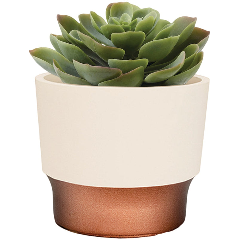 HC Companies Sprite 3 In. x 3 In. x 2.5 In. Resin Vanilla Bisque Succulent Pot