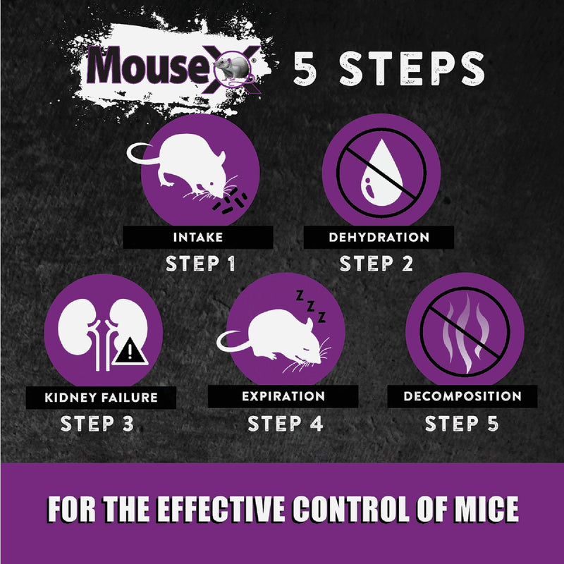 MouseX Pellet Throw Pack Mouse Killer (6-Pack)