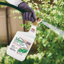 Bonide All Seasons 32 Oz. Ready To Spray Hose End Dormant Horticultural Oil