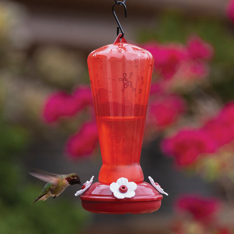 More Birds 25 Oz. Plastic Hollyhock Hummingbird Feeder