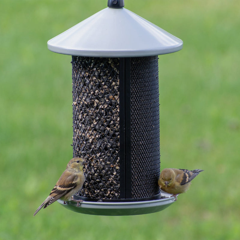 Perky-Pet Gray Dual Mesh Seed Feeder