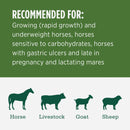 Standlee Premium Western Forage 50 Lb. Premium Alfalfa Grab & Go Compressed Bale