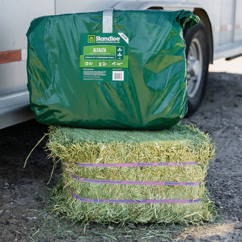 Standlee Premium Western Forage 50 Lb. Premium Alfalfa Grab & Go Compressed Bale