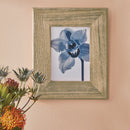 Minwax Wood Finish Penetrating Stain, Classic Gray, 1/2 Pt.