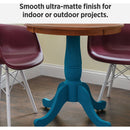 Krylon CHALKY FINISH 11 Oz. Chalk Spray Paint Sealer, Clear