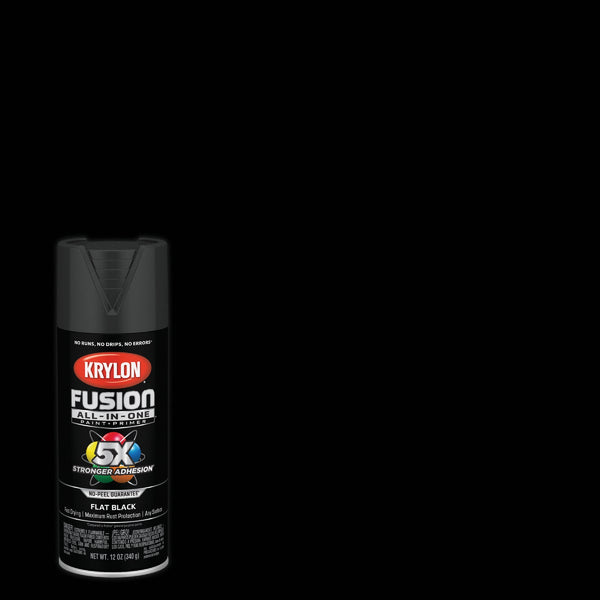 Krylon Fusion All-In-One Flat Spray Paint & Primer, Black