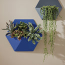 Krylon Colormaxx Satin Spray Paint & Primer, Iris