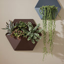 Krylon Colormaxx Satin Spray Paint & Primer, Leather Brown