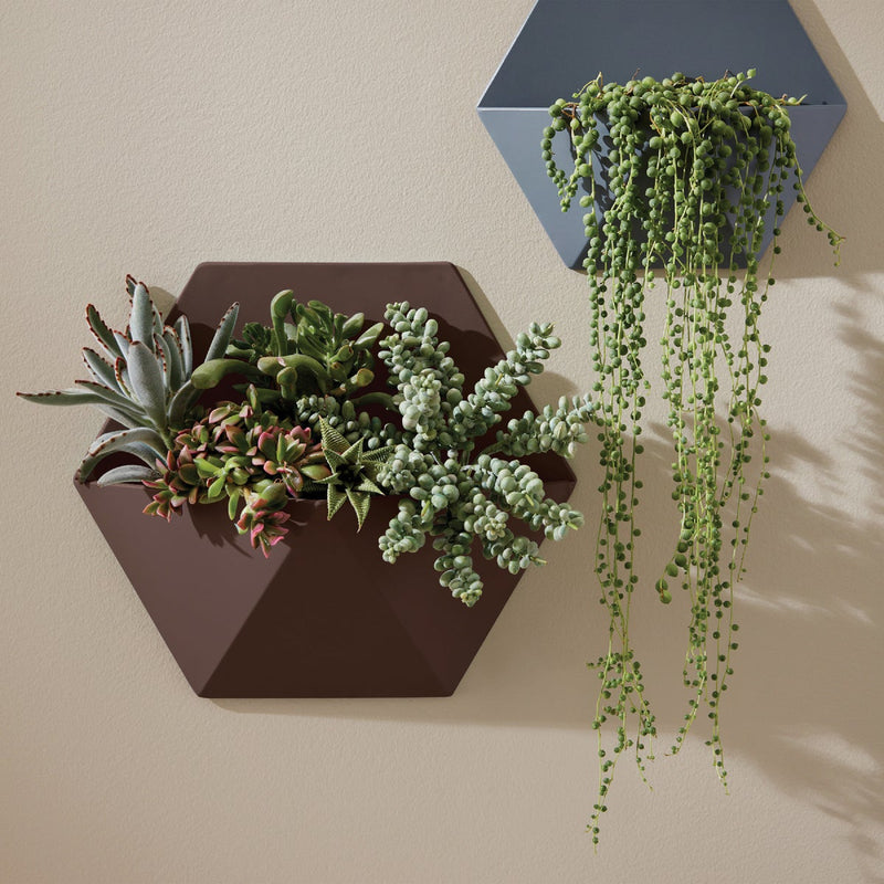 Krylon Colormaxx Satin Spray Paint & Primer, Leather Brown