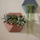 Krylon ColorMaxx Ruddy Brown 12 Oz. All-Purpose Spray Paint Primer