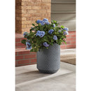 Krylon ColorMaxx 12 Oz. Gloss Spray Paint, Smoke Gray