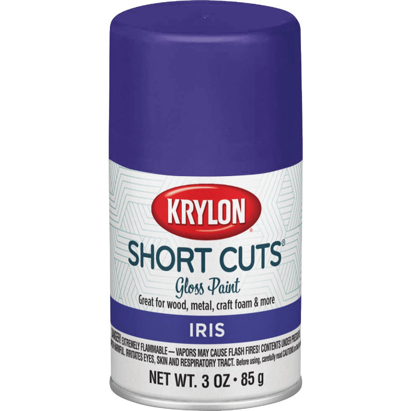 Krylon Short Cuts 3 Oz. High-Gloss Enamel Spray Paint, Iris