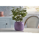 Krylon ColorMaxx12 Oz. Gloss Spray Paint, Gum Drop