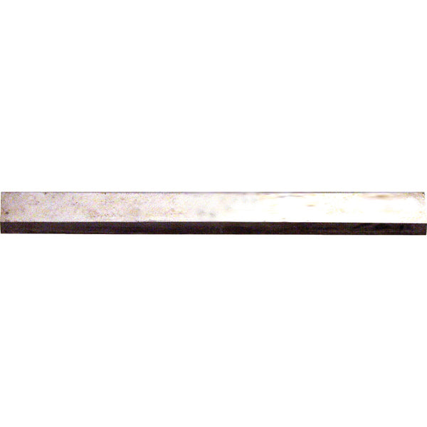 Hyde 2-1/2 In. 2-Edge Carbide Replacement Scraper Blade