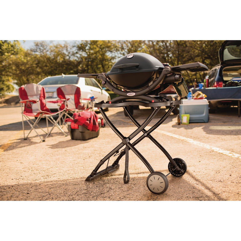 Weber Q 1200 1-Burner Black 8,500-BTU LP Gas Grill