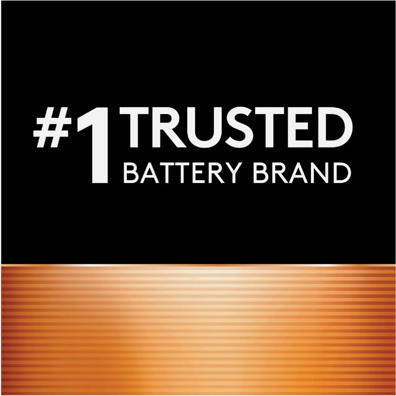 Duracell CopperTop D Alkaline Battery (4-Pack)