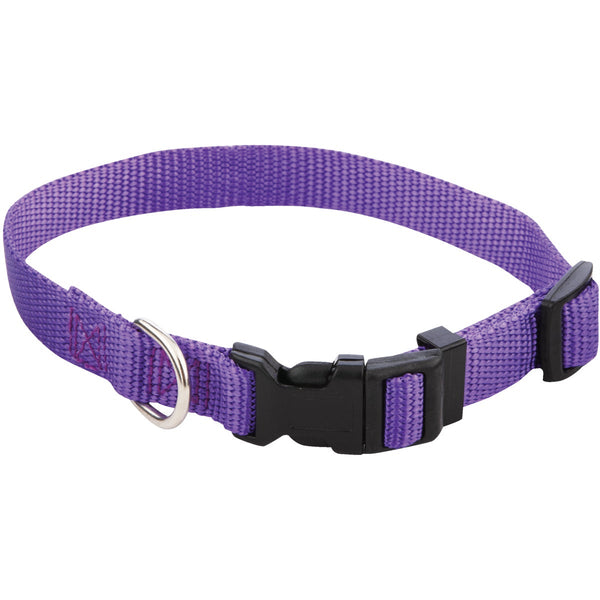 Westminster Pet Ruffin' it Adjustable 10 In. to 16 In. Nylon Dog Collar