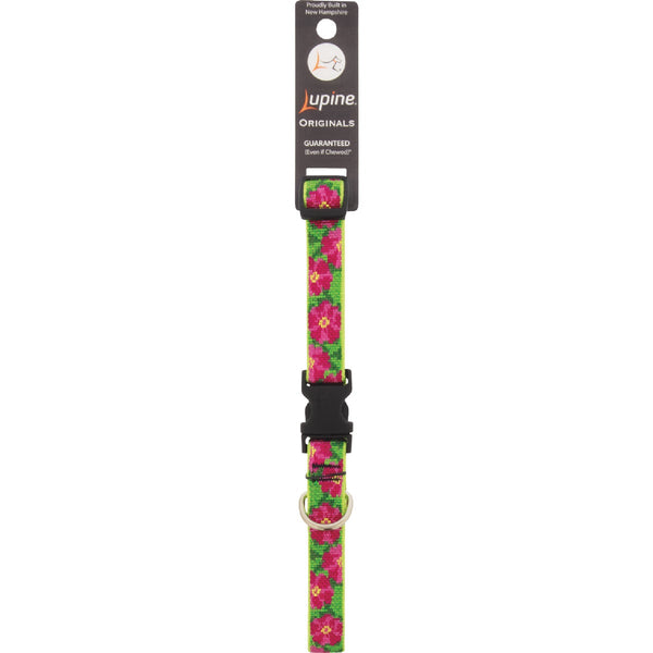 Lupine 3/4 In. Petunias Adjustable Dog Collar