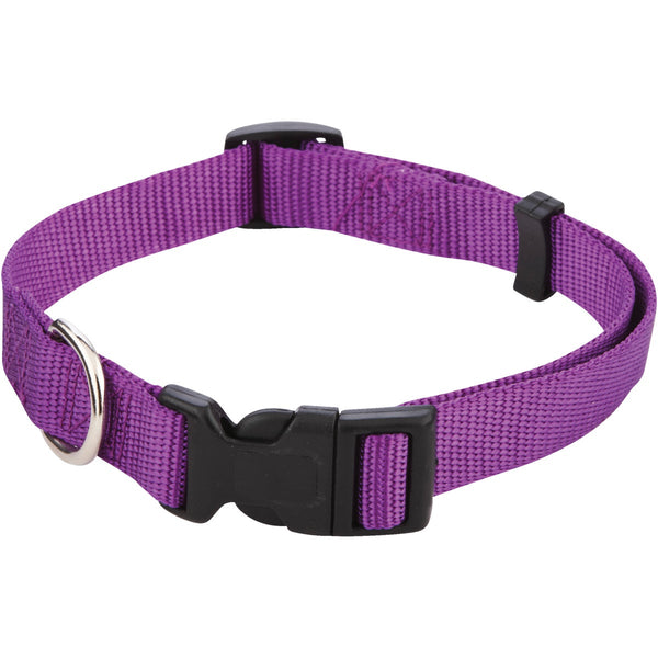 Westminster Pet Ruffin' it Adjustable 14 In. to 20 In. Nylon Dog Collar