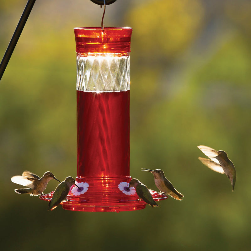 Classic Birds More Birds Bird Health+ 32 Oz. Liquid Concentrate Red Hummingbird Nectar