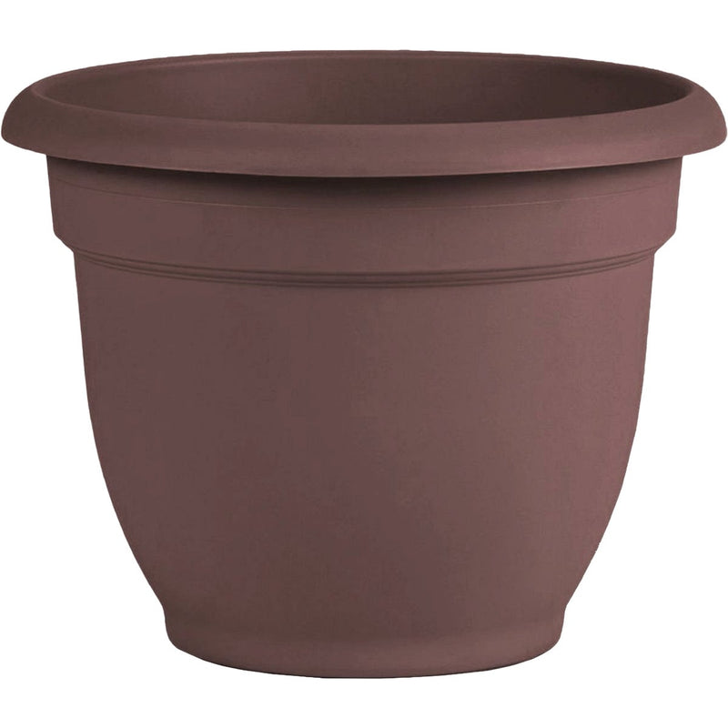 Bloem Ariana 10 In. Plastic Self Watering Merlot Planter