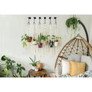 National 2648 4-3/4 In. Black Steel Modern Small S-Hook Plant Hanger