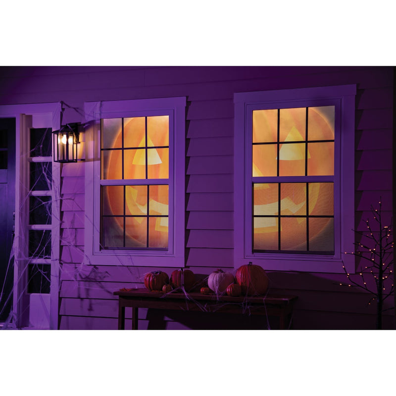 Evergreen Shadow Scapes Jack O' Lantern Window Shade (Set of 2)