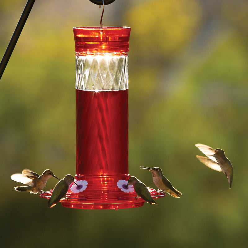 Classic More Birds Bird Health+ 30 Oz. Diamond Hummingbird Feeder