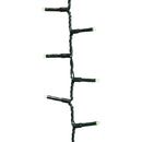 Lumineo Green 500-Bulb LED Compact Light Set with Dark Green Wire