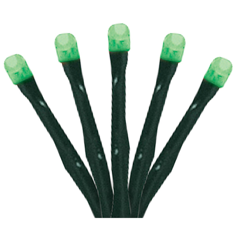 Lumineo Green 500-Bulb LED Compact Light Set with Dark Green Wire